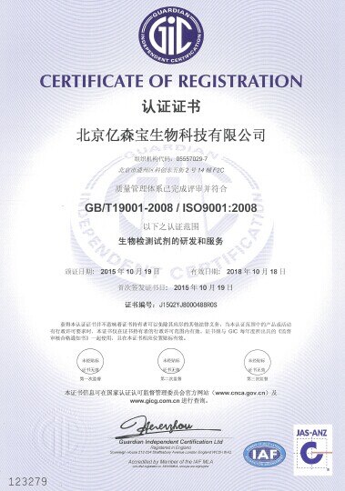 ISO9001中文-小