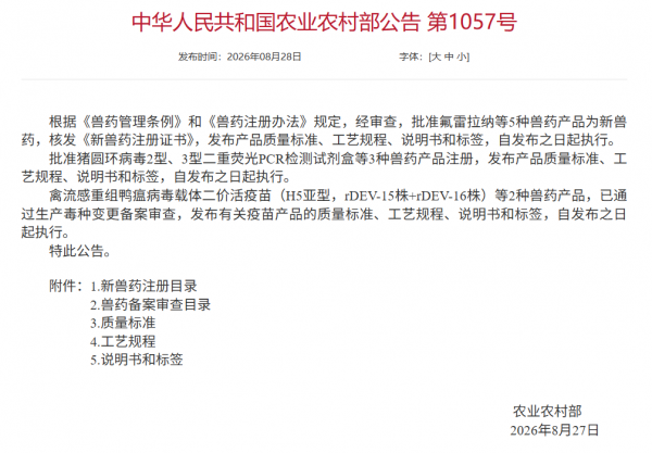 图片10
